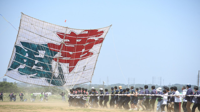 【2024年は開催終了】座間の大凧まつり